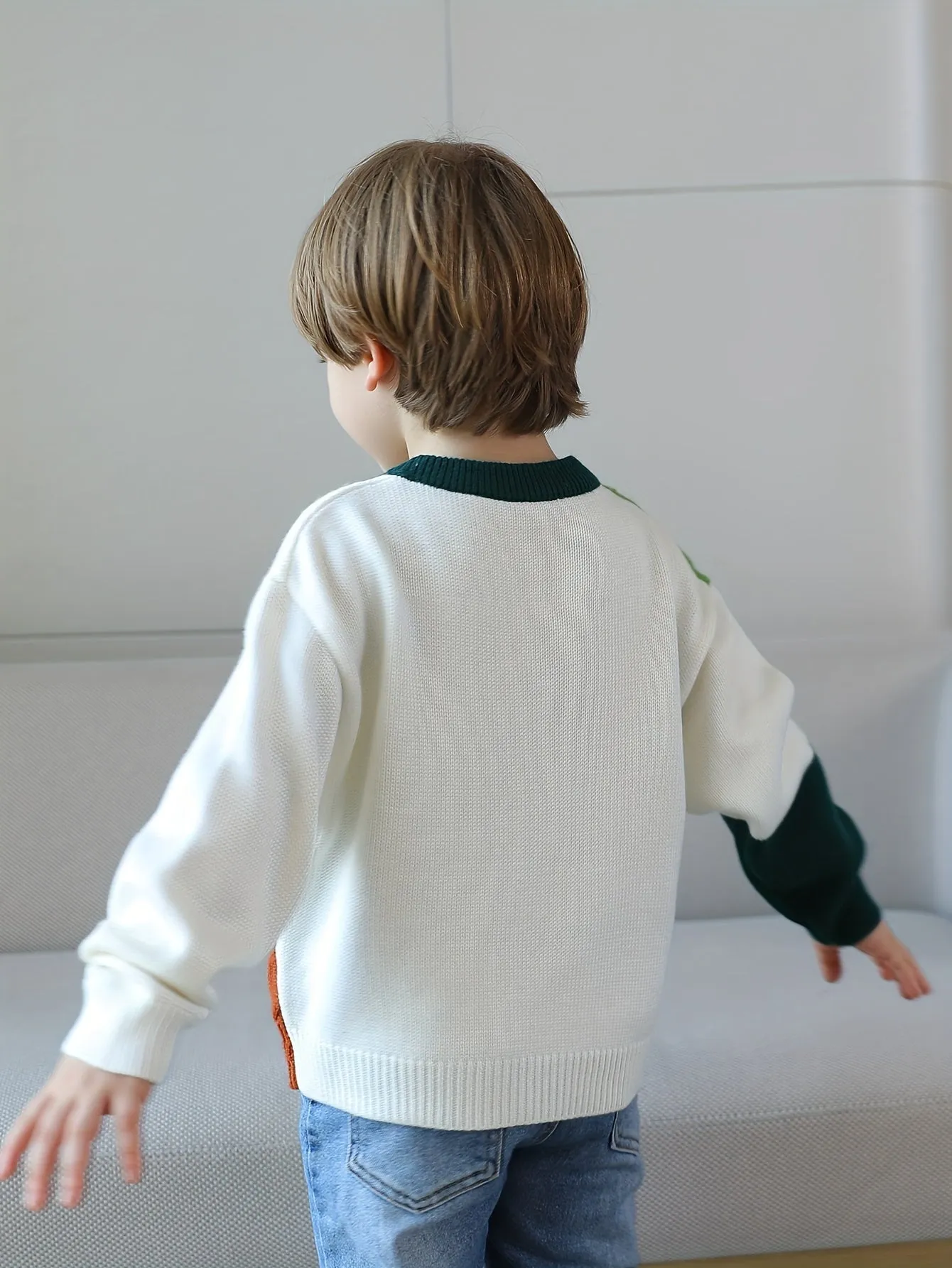 Boys Casual Sweater, Color Block Stitching Pattern Long Sleeve Pullover Top For Winter Fall