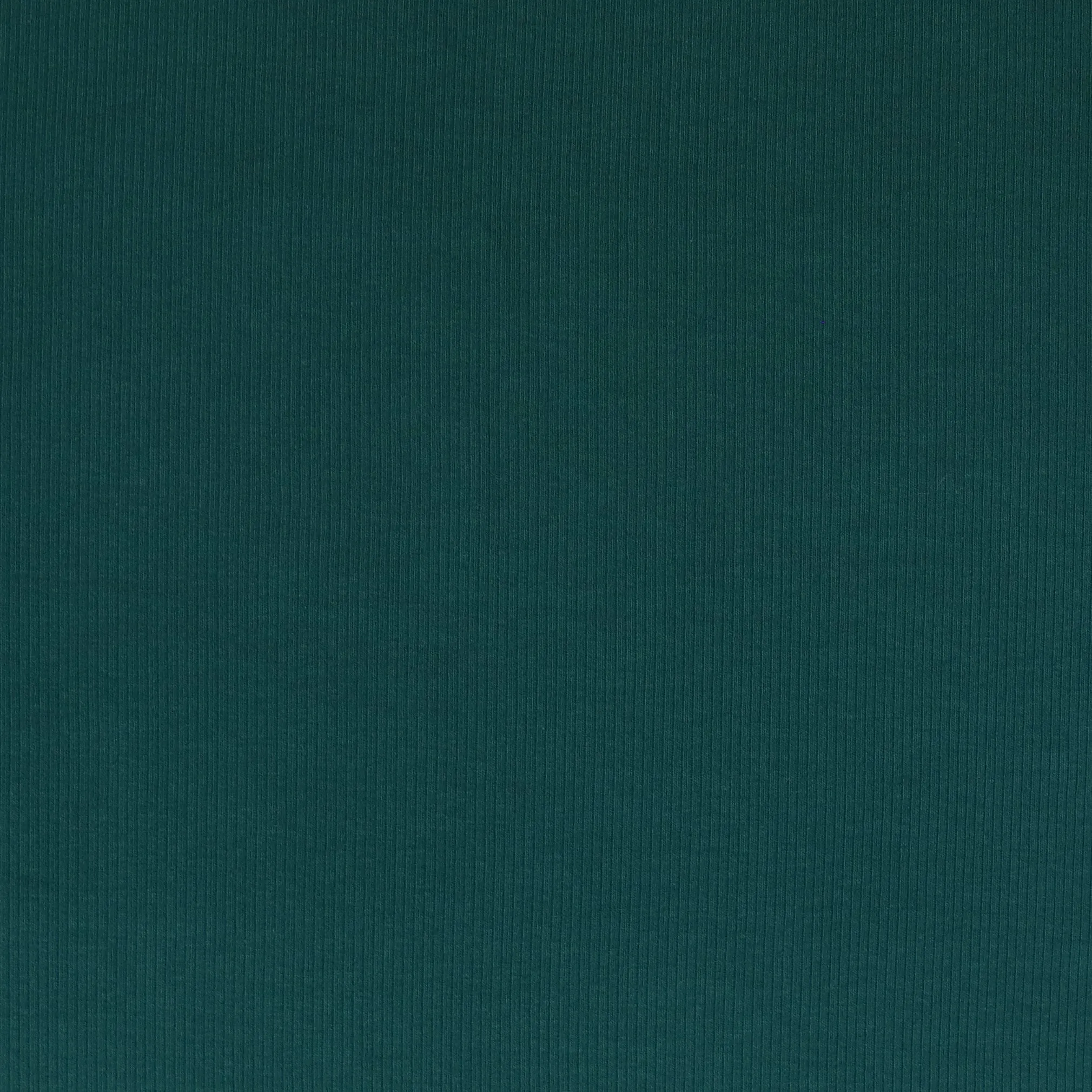 Cotton Narrow Ribbed Jersey - Teal Green