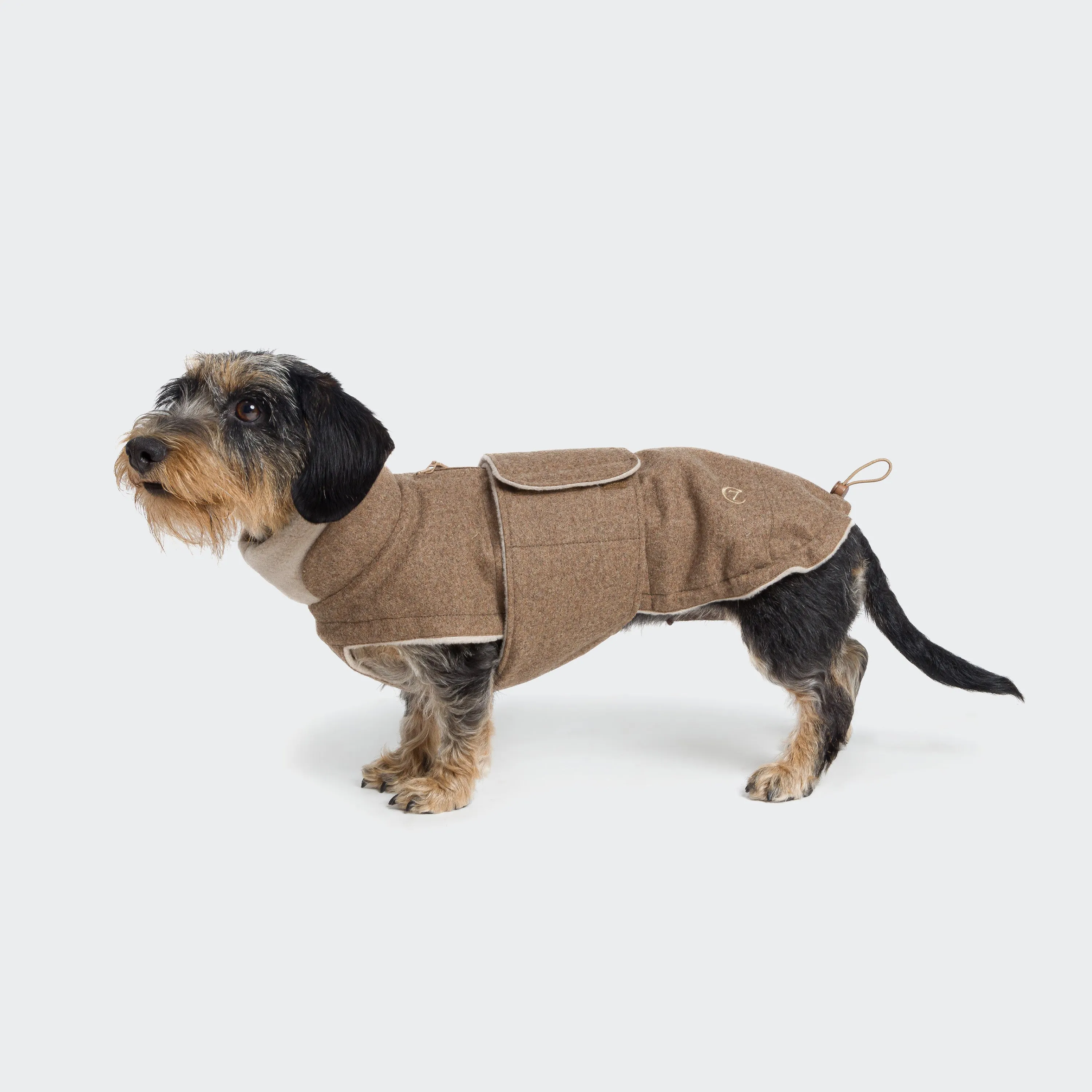 Dachshund Coat Brooklyn Flannel Hazel from Cloud 7