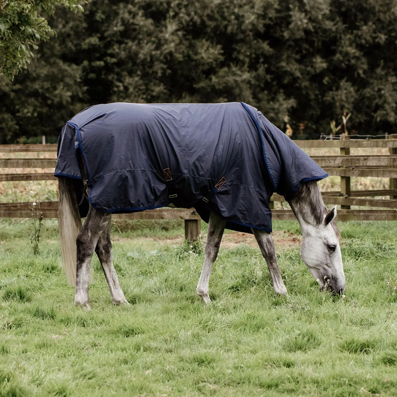 Kentucky Horsewear Hurricane Turnout Rug 50g - Navy