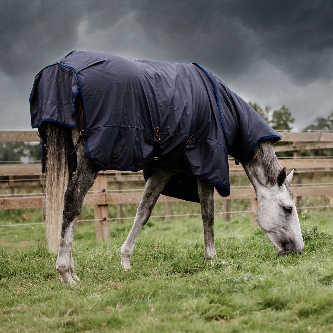 Kentucky Horsewear Hurricane Turnout Rug 50g - Navy