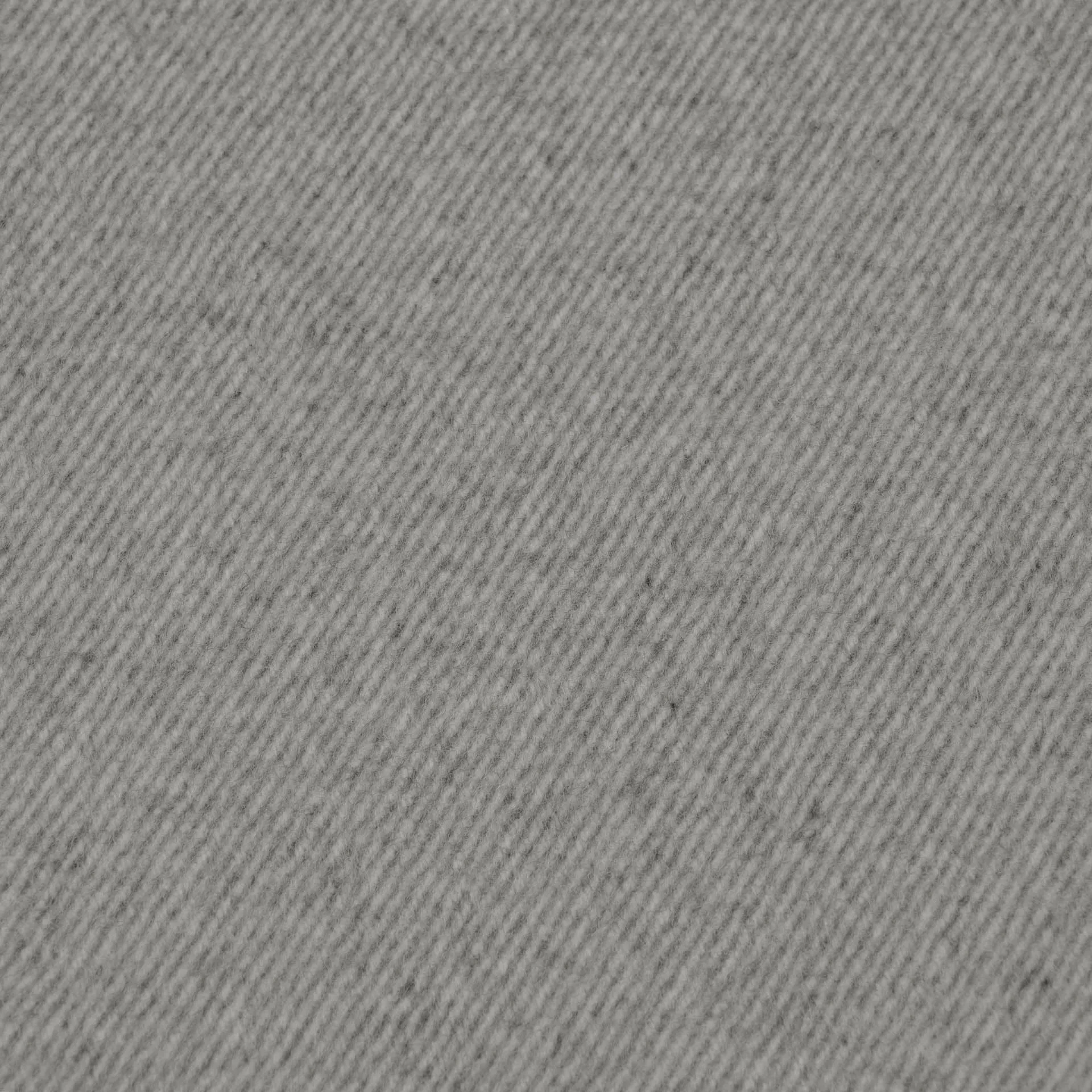 Light Grey Coating Fabric 4263