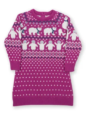 Polar pals knit dress