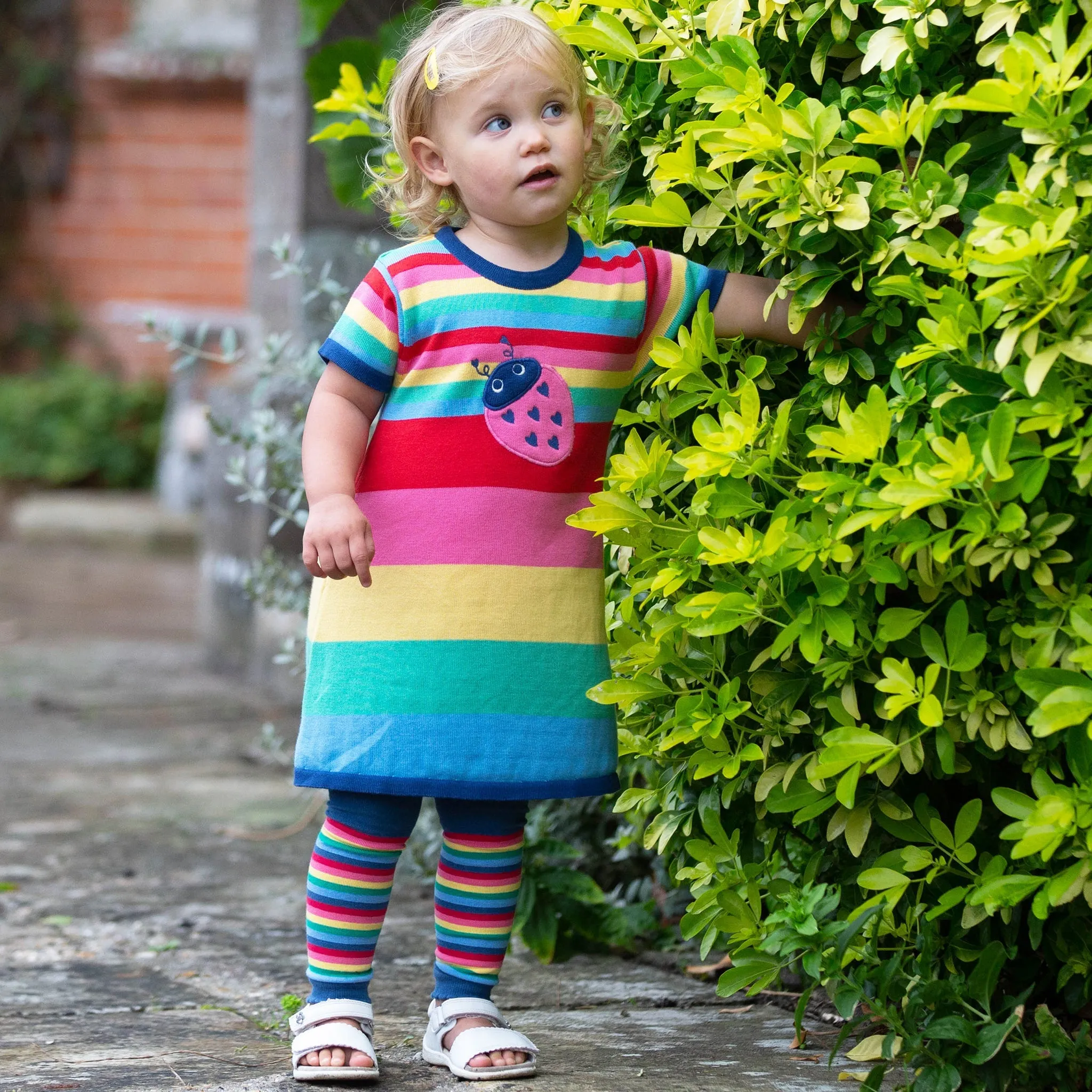 Rainbow knit dress